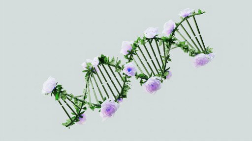 Artificial Intelligence in Bioinformatics: Revolutionizing Genomic Research